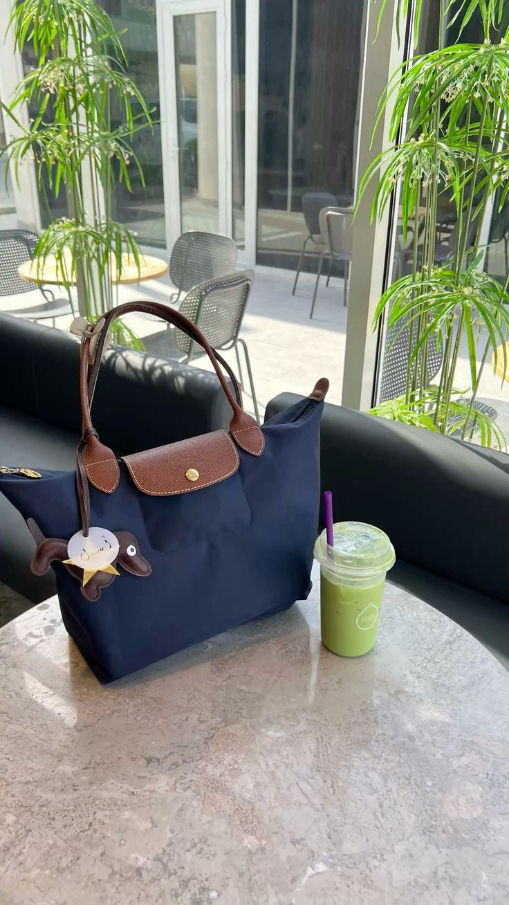 Sac Longchamp – Le Pliage Élégance